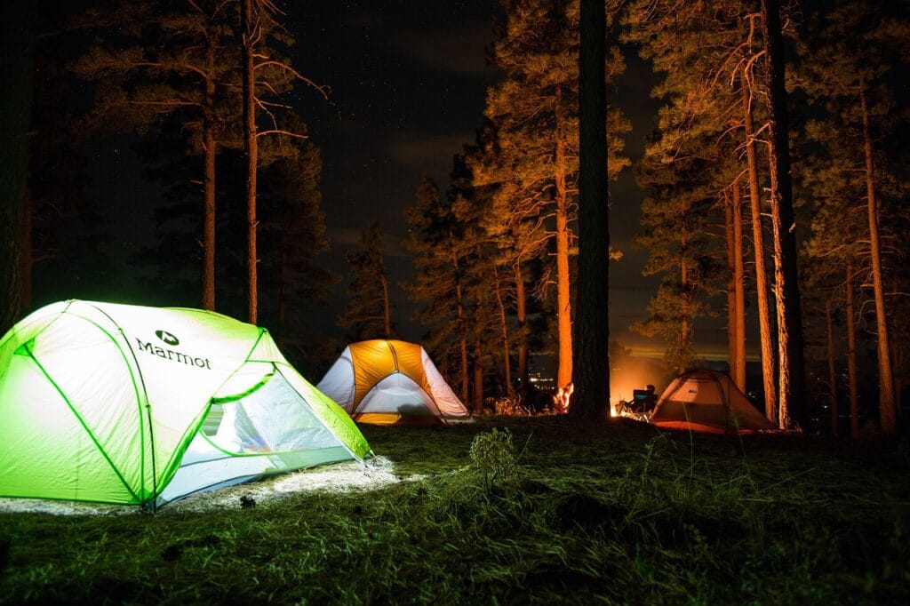 Glowing tents at night with campfire light in a pine forest, creating a warm and cozy camping atmosphere