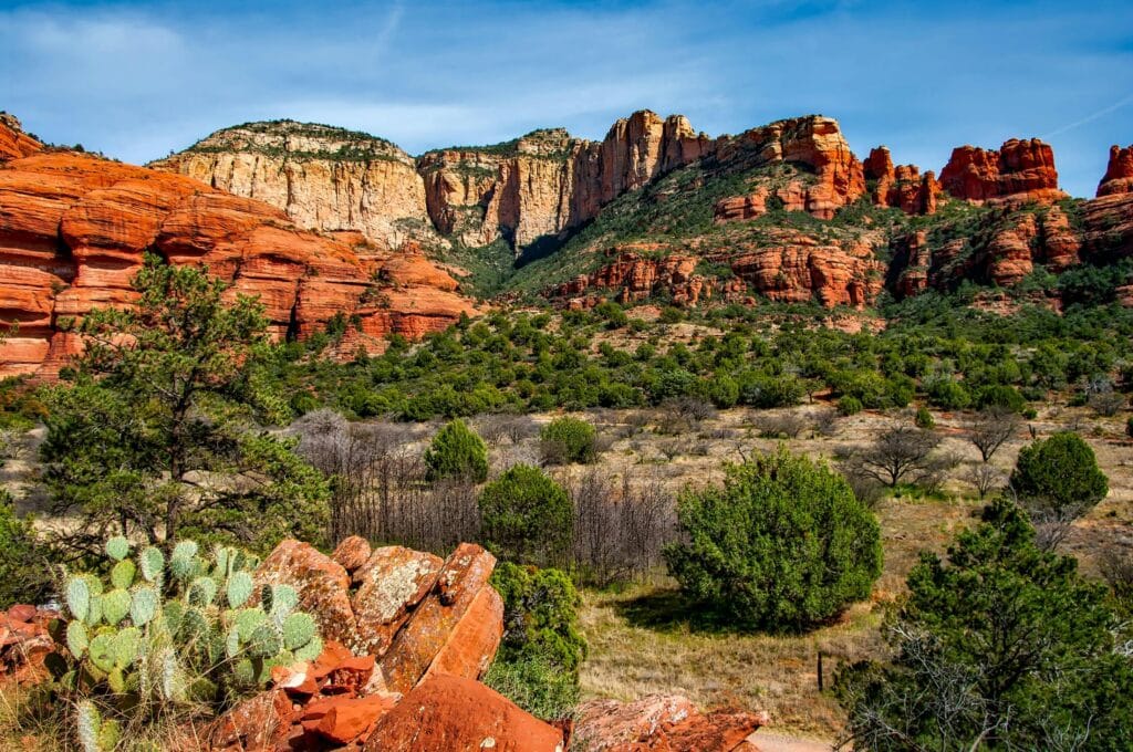 Scenic view of Sedona’s iconic red rock formations and desert vegetation.